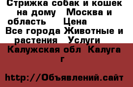 Стрижка собак и кошек на дому.  Москва и область.  › Цена ­ 1 200 - Все города Животные и растения » Услуги   . Калужская обл.,Калуга г.